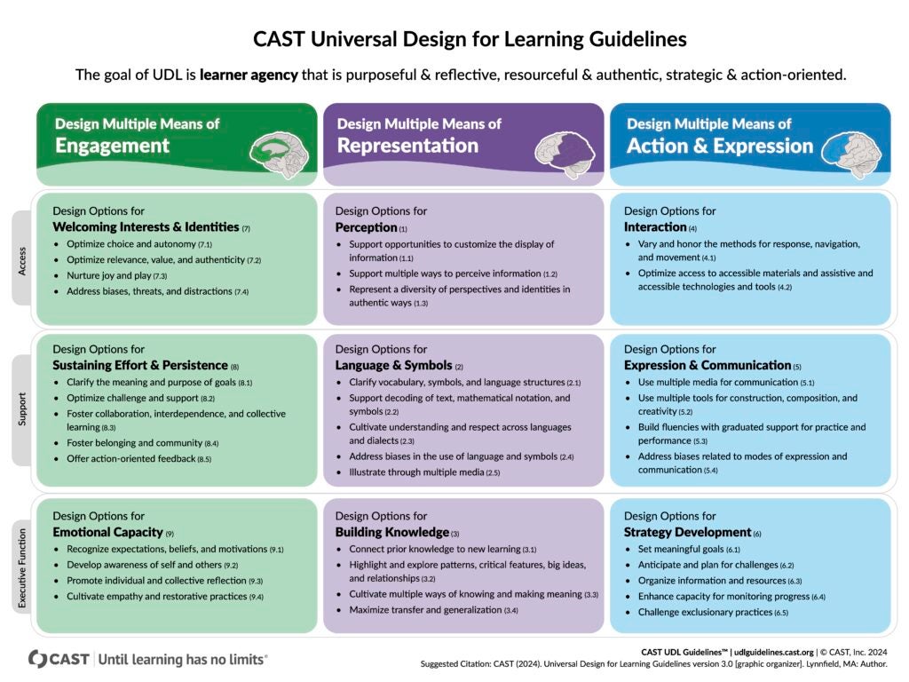 CAST UDL Guidelines 3.0 Visual Organizer