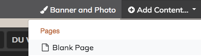 Screenshot of the "Add Content" tool and "Blank Page" option.