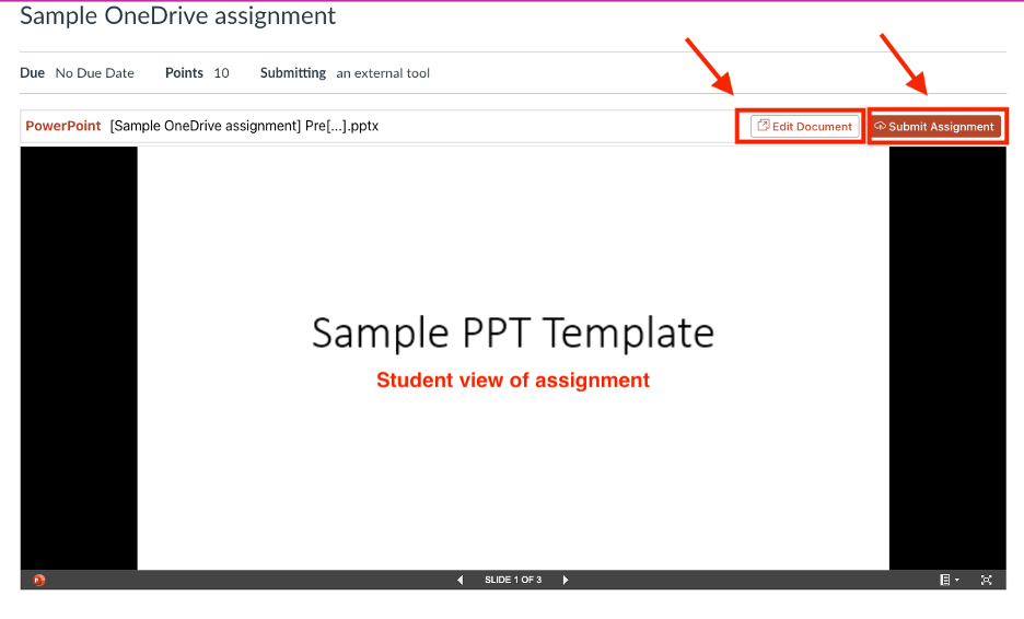 Document options within the OneDrive assignment